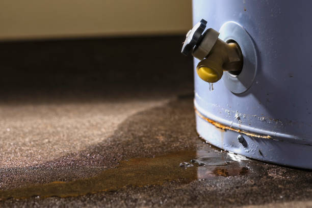Best Professional water damage repair  in Alsip, IL