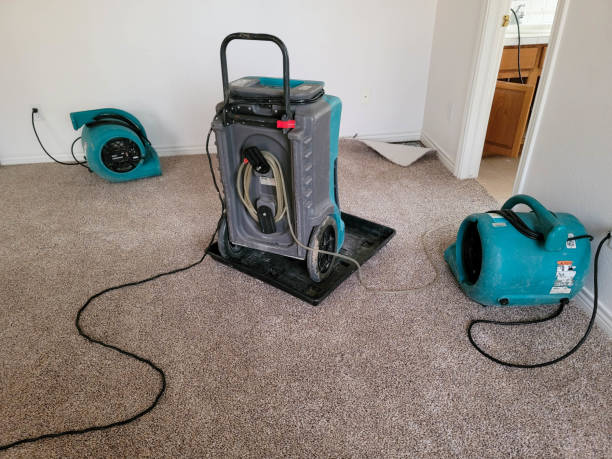 Best Local water damage restoration  in Alsip, IL