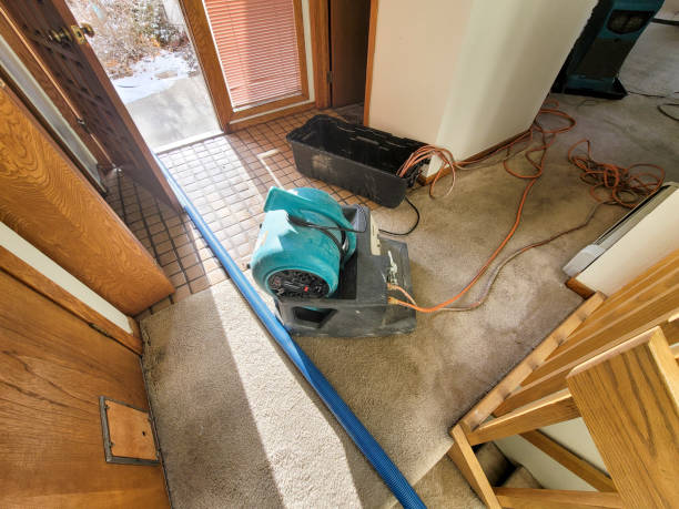 Best Mold removal after water damage  in Alsip, IL