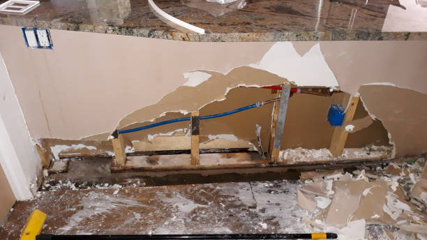  Alsip, IL Water damage restoration Pros