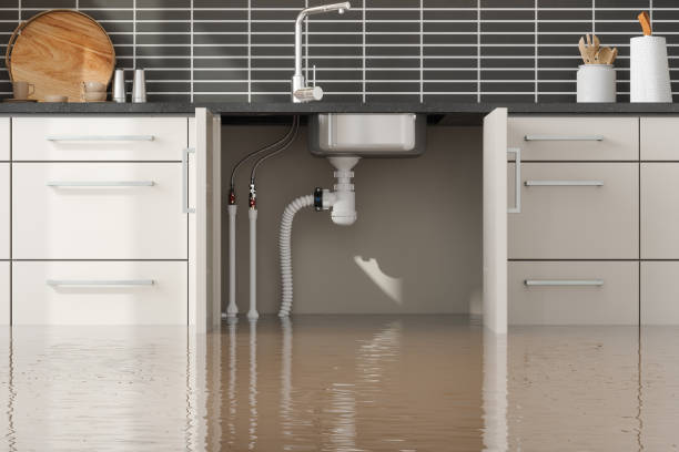 Best Basement water damage restoration  in Alsip, IL