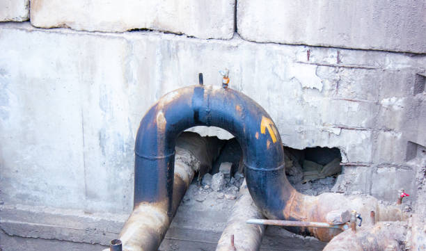 Best Flood damage cleanup  in Alsip, IL