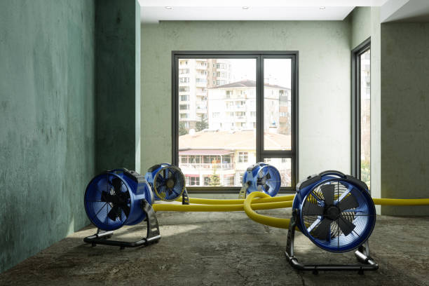 Best Water damage restoration near me  in Alsip, IL